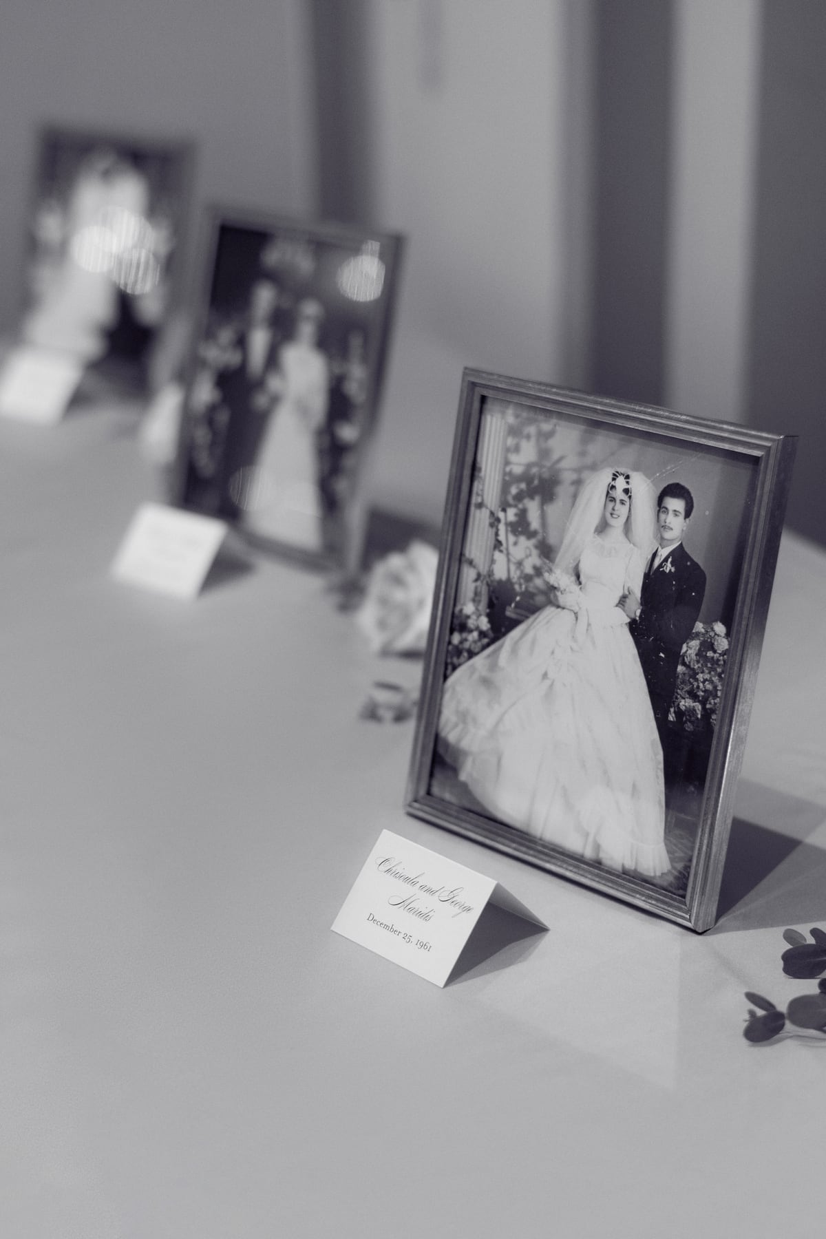 CHRISOULA & STEFANOS, photo 46
